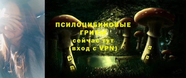 дурь Алзамай