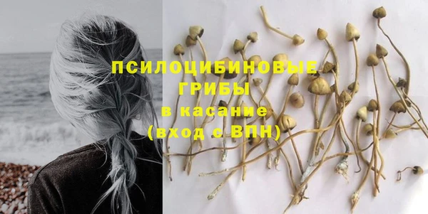 твердый Алексин
