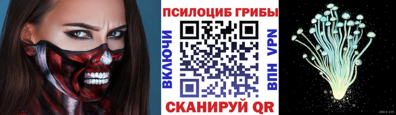 Псилоцибиновые грибы ЛСД  маркетплейс телеграм  Бабаево  наркота 