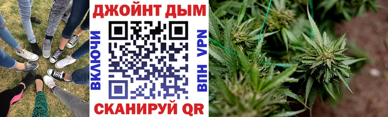 Бошки Шишки гибрид  Бабаево 